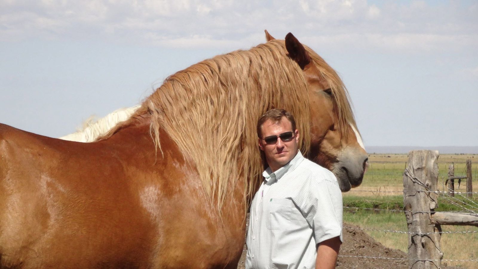 Ben with a horse